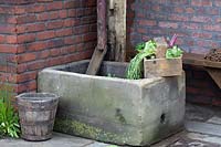 Old stone water trough in 'The Watchmakers' Garden' at BBC Gardeners World Live 2019