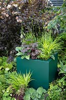 Colourful planters filled with heuchera, hosta, grass and digitalis in the 'The Macmillan Legacy Garden' at BBC Gardeners World Live 2019