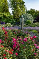 Formal rose garden at Borde Hill, Wset Sussex, UK