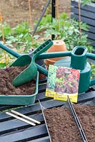 Tools and seeds ready for sowing Lettuce 'Lollo Rossa' and 'Lettony' in drain pipes. 