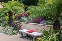 A bench overlooking a contemporary courtyard, edged in beds of Australian tree ferns, cannas, phormiums, dahlias, verbenas, sedums and silver Plectranthus.