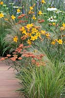 Mixed border with Achillea 'Walter Funke', Hemerocallis 'Golden Chimes', Echinacea purpurea 'White Swan' and ornamental grasses. The Phytosanctuary Garden at RHS Tatton Park Flower Show, 2019. 