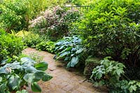 Shady border of hostas, hydrangeas and laurel shrub. The Garden of Foam Photography Museum, Amsterdam, The Netherlands. 