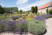Lavandula borders at La Chartreuse de Neuville, a monastery with gardens in Neuville sous Montreuil, France