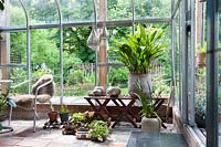 A greenhouse in May with seat and view to garden. Houseplants such as Aspidistra, Cymbidium and Camellia in pots. Salad and seedlings on the floor.