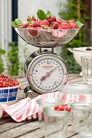 Weighing scales filled with strawberries on wooden garden table 