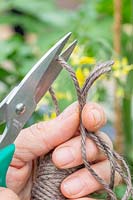 Cutting lengths of twine using scissors