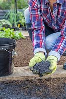 Woman adding charcoal to bed as soil improver.