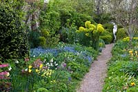 View across spring flowering border. 