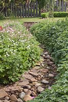 A stream flowing over pebbles with borders of Geraniums on each side 