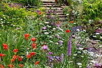 Orchid dactylorhiza and self-sown poppies, Lilium lancifolium