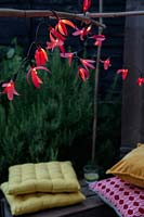 Fairylights decorated with colourful paper shapes create beautiful decorative outdoor lighting. 