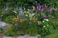 A summer border of Buddlejas, Bellflowers, Foxgloves, Ammi, Achilleas and Rosa to encourage pollinators 