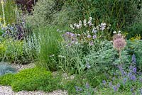 A drought tolerant gravel garden featuring a range of plants adapted to cope with dry spells. Beth Chatto: The Drought Resistant Garden, designed by David Ward, RHS Hampton Court Garden Palace Show, 2019.

