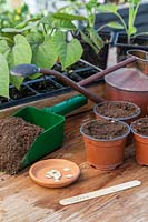 Material and tools ready for sowing Butternut squash 'Harrier' 