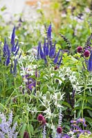 Mixed border with Veronica, Eryngium giganteum, Allium sphaerocephalon and Erigeron 'Darkest Of All'. The South West Water Green Garden at RHS Hampton Court Palace Flower Show 2018 
