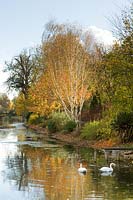 View down river surrounded by autumnal colour at Chippenham Park, Cambrideshire, UK.