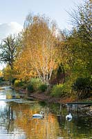 View down river surrounded by autumnal colour at Chippenham Park, Cambrideshire, UK.