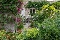 View past wall-trained Rosa 'Alexandre Girault' to York stone path to dining table, past borders of Alchemilla, Centaurea, geums and roses. 