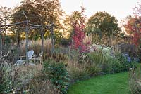 Autumnal border of Acer rubrum 'October Glory', Calamagrostis x acutiflora 'Karl Foerster', Deschampsia flexuosa 'Goldtau' and asters. 