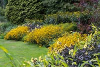 An all-gold border specially designed for marking Great Comp Garden's 50th anniversary. Plants include Rudbeckia fulgida var. deamii, Rudbeckia laciniata 'Herbstsonne', Dahlia 'Mystic Illusion', Solidago rugosa 'Fireworks' and 'Golden Baby'.