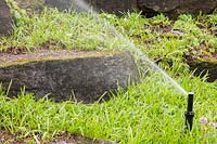 Automated black tubular sprinkler spraying water in rock garden