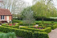 A box parterre with gravel paths separating beds planted with Tulipa 'Paul Scherer', 'Ballerina' and 'Doll's Minuet' with an olive tree in the centre