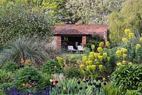 Country garden with a brick garden room is glimpsed through Euphorbia characias, milkweed or spurge.