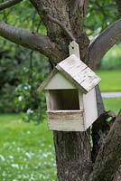 A wooden nesting box is hung from an old apple tree.