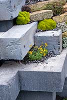 Concrete blocks with rock plants - The Mindset, RHS Malvern Spring Festival 2019