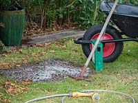 Sow and water in grass seed on bare patches in lawn.  