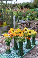 Garden Cottage at Gunwalloe in Cornwall.  Cottage garden in autumn. Vases of Marigolds and Dahlias on table.