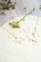 Imprint of flowers left in salt dough after careful removal of flower stems
