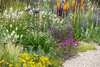 Planting combination for a dry garden includes Sedum 'Weinstephner Gold',  Euphorbia myrsinites, Agapanthus 'Navy Blue' - syn. A. 'Midnight Star' -  Gaura lindheimeri, Verbascum chaixii and Verbena rigida. The Drought Tolerant Garden at the RHS Hampton Court Palace Garden Festival 2019.