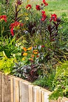 Colourful late summer perennials with dark and golden foliage, in a raised bed contained by wooden planks. RHS Hampton Court Palace Garden Festival 2019.