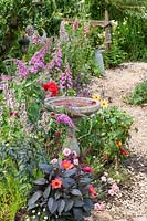 A naturalistic wildlife-friendly garden with cottage style planting, gravel path and a bird bath, providing a habitat for wildlife, birds, insects and bees. Planting includes Dahlia, Buddleija, Dianthus and Digitalis. RHS Hampton Court Palace Garden Festival 2019.