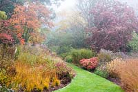 Colourful autumn borders planted with Molinia 'Poul Petersen', Panicum virgatum 'Northwind', Nandina domestica 'Firepower', Verbena bonariensis, euonymus and persicaria.