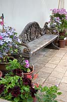 Ornate decorative bench surrounded by pots of flowering overwintered plants at Hoveton Hall, Norwich, UK. 