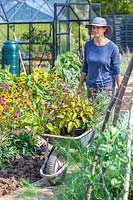 Woman walking through vegetable garden with wheel barrow full of plants.