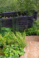 The M and G Garden, Gold  and  Best in Show, RHS Chelsea Flower Show 2019. Woodland planting including Dryopteris cycadina and Asarum europaeum 