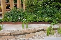 Kampo no Niwa, a meandering water rill is bordered with white flowering Iris laevigata, the garden has been planted with medicinal plants, including Zanthoxylum puperitum, Paeonia lactiflora, Mentha canadensis var.pipererascens. Sponsors: Kampo no Niwa 300.