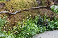 The RHS Back to Nature Garden, the large log is covered with moss and is bordered with planting which includes Trollius x cultorum 'Cheddar' and Blechnum spicant.