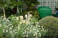 The Greenfingers Charity Garden, planting combination which includes Iris 'Benton Primrose', Lupinus 'Westcountry Polar Princess', clipped Pinus, Artemisia ludoviciana 'Silver Queen' and Anthemis punctata subsp cupaniana - Sponsor: Greenfingers Charity.