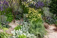 Gravel garden planted with Mediterranean herbs -  Halo - RHS Hampton Court Flower Show 2014  