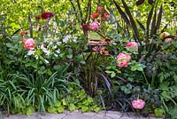 Mixed summer border - Bachus Garden - RHS Hampton Court Flower Show