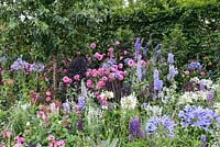 Agapanthus, Dahlias, Delphiniums and Kale - Britain in Bloom - RHS Hampton Court Flower Show 2014