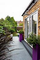 Patio doors to kitchen diner with pots of Hebe 'Caledonia' in purple containers and Phormium 'Platt's Black' either side