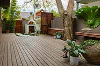 A wide view of a backyard, with a bespoke cement rendered pizza oven in the back corner of a backyard showing a slat hardwood timber screen, a timber deck, a clump of bamboo, groups of pots and a Jacaranda tree growing through the deck.