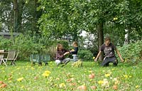 Mistletoe Nursery feature portrait - Father, mother and daughter picking apples from the orchard 