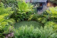 Small shade tolerant garden in London with a green theme. Planting includes Dryopteris affinis, Hakonechloa macra Aureola, Trachelospermum jasminoides, Calamagrostis x acutiflora Karl Foerster, Taxus media Hillii, Red clematis Madame Julia Correvon, Dicksonia antarctica, Zantedeschia aethiopica. The border surrounds a small circular artificial lawn.